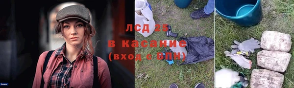 дживик Арсеньев