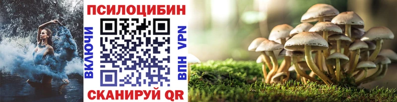 Галлюциногенные грибы мицелий  Кирово-Чепецк 