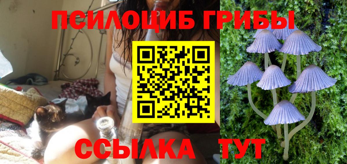 Псилоцибиновые грибы MAGIC MUSHROOMS  Вход с VPN  Кирово-Чепецк 