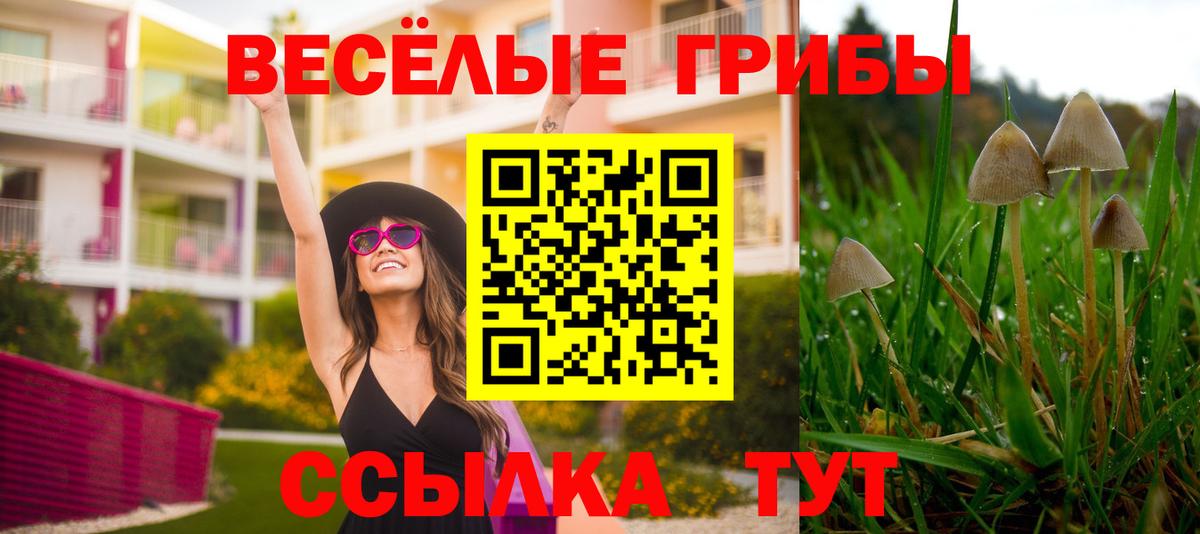 Псилоцибиновые грибы GOLDEN TEACHER Кирово-Чепецк