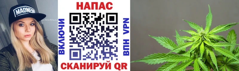 Каннабис сатива  блэк спрут маркетплейс  Кирово-Чепецк 