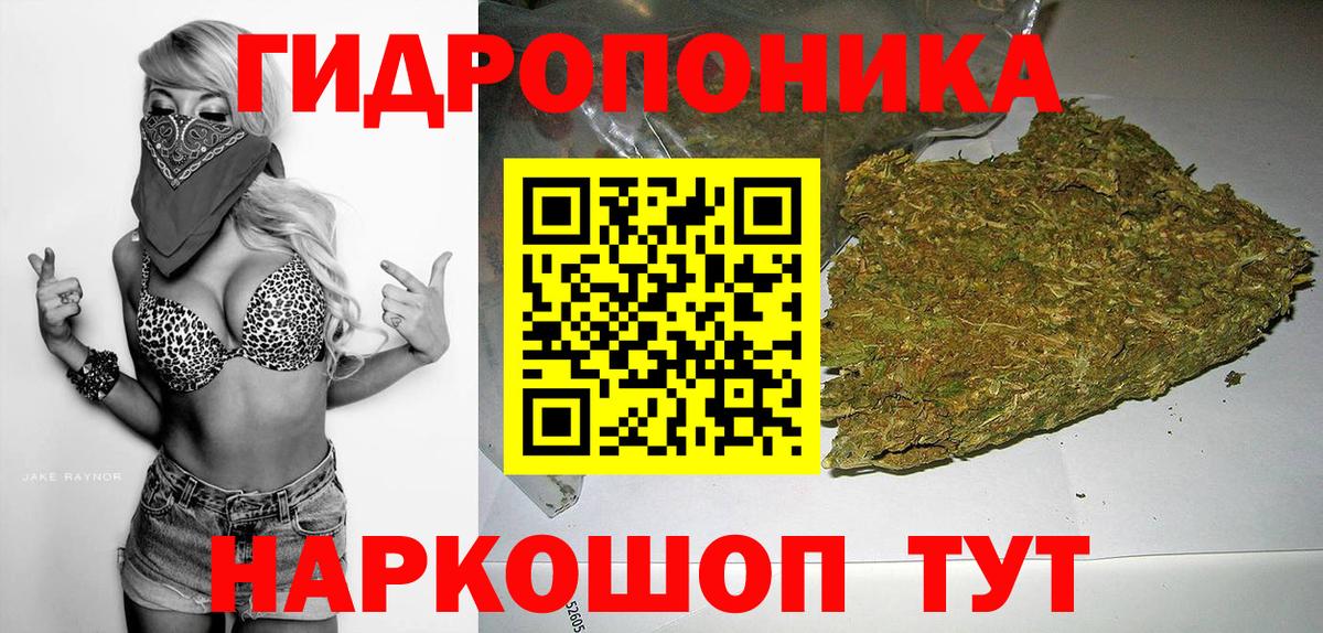 Конопля план Кирово-Чепецк